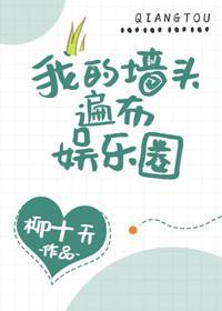 我的墻头遍布娱乐圈[穿书]