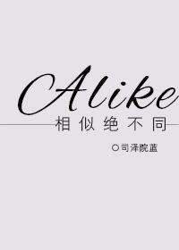 [HP]相似绝不同