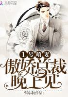1号萌妻:傲娇总裁,晚上见!