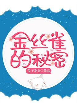 金丝雀的秘密