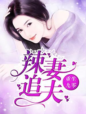 重生九零:辣妻追夫