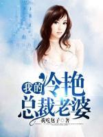 我的冷艷总裁老婆