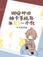 绑定种田抽卡系统后我欠了一个亿