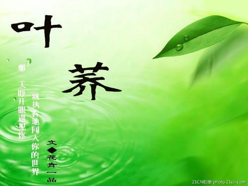 叶荞（异世重生）