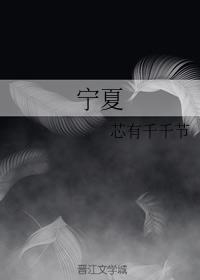 宁夏