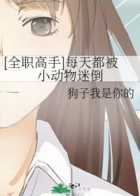 [全职高手]每天都被小动物迷倒