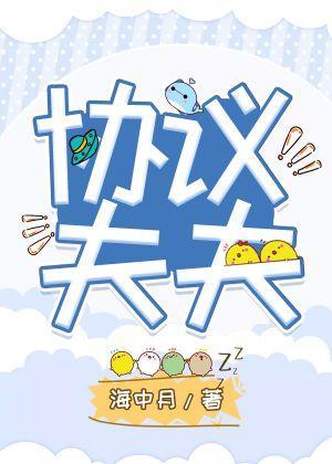 协议夫夫