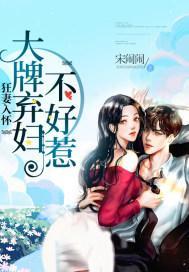 狂妻入怀:大牌弃妇不好惹