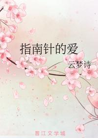 指南针的爱