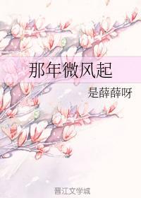 那年微风起