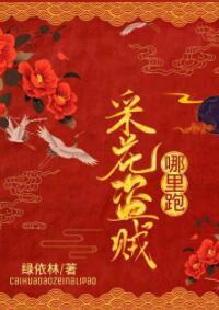 采花盗贼,哪里跑!