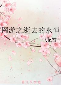 网游之逝去的永恒