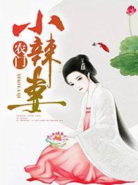 农门小辣妻