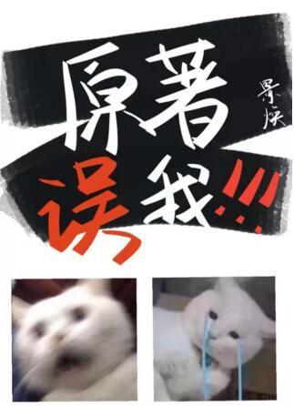 原着误我!!!