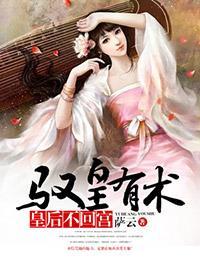 驭皇有术:皇后不回宫