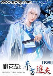 桃花劫:奉旨追夫
