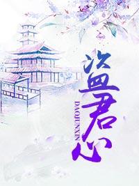 盗君心
