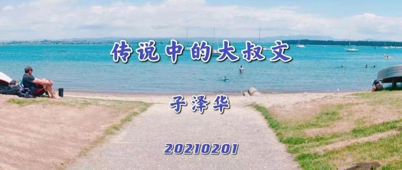 传说中的大叔文