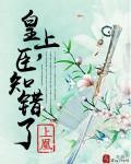 皇上，臣知错了