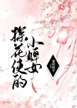 探花使的小婢女