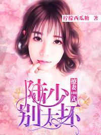 陆少撩妻宠上天