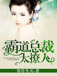 霸道总裁,太撩人