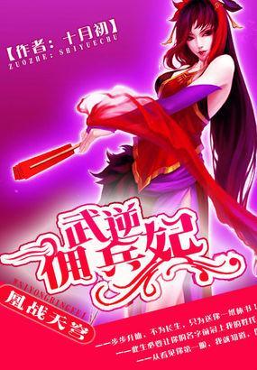 武逆佣兵妃:凰战天穹
