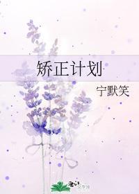 矫正计划
