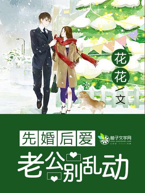 先婚后爱:老公别乱动
