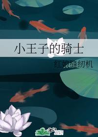 小王子的骑士