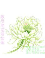 凤凰缭乱:妖孽王爷好痴情