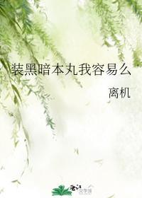装黑暗本丸我容易么