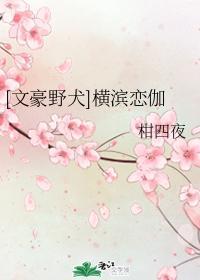 [文豪野犬]横滨恋伽