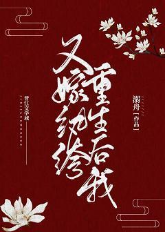 重生后我又嫁纨绔