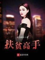 扶贫高手