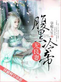 腹黑冷帝无良妻