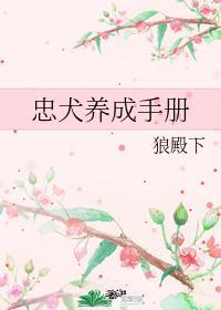 忠犬养成手册
