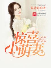 喜从妻来:傲娇老公,深深宠