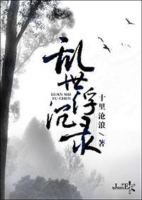 乱世浮沈录