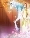 不如不见之明星志愿