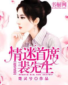 撩爱成婚:情迷首席裴先生