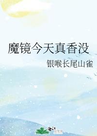 魔镜今天真香没