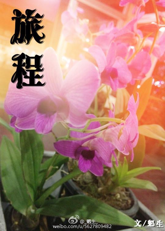 旅程
