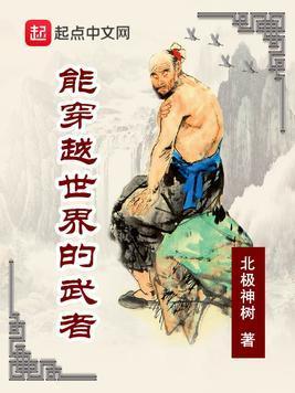 能穿越世界的武者