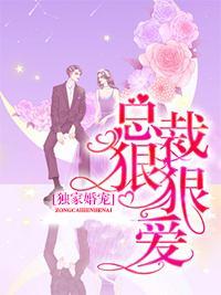 独家婚宠:总裁,狠狠爱