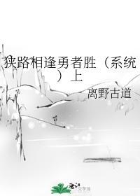 狭路相逢勇者胜（系统）上