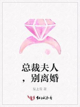 总裁夫人,别离婚