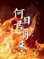 何日君再来