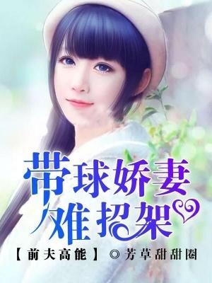 前夫高能:带球娇妻难招架