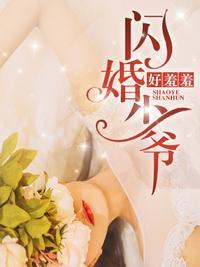 闪婚少爷好羞羞